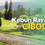 Kebun Raya Cibodas Buka Jam Berapa